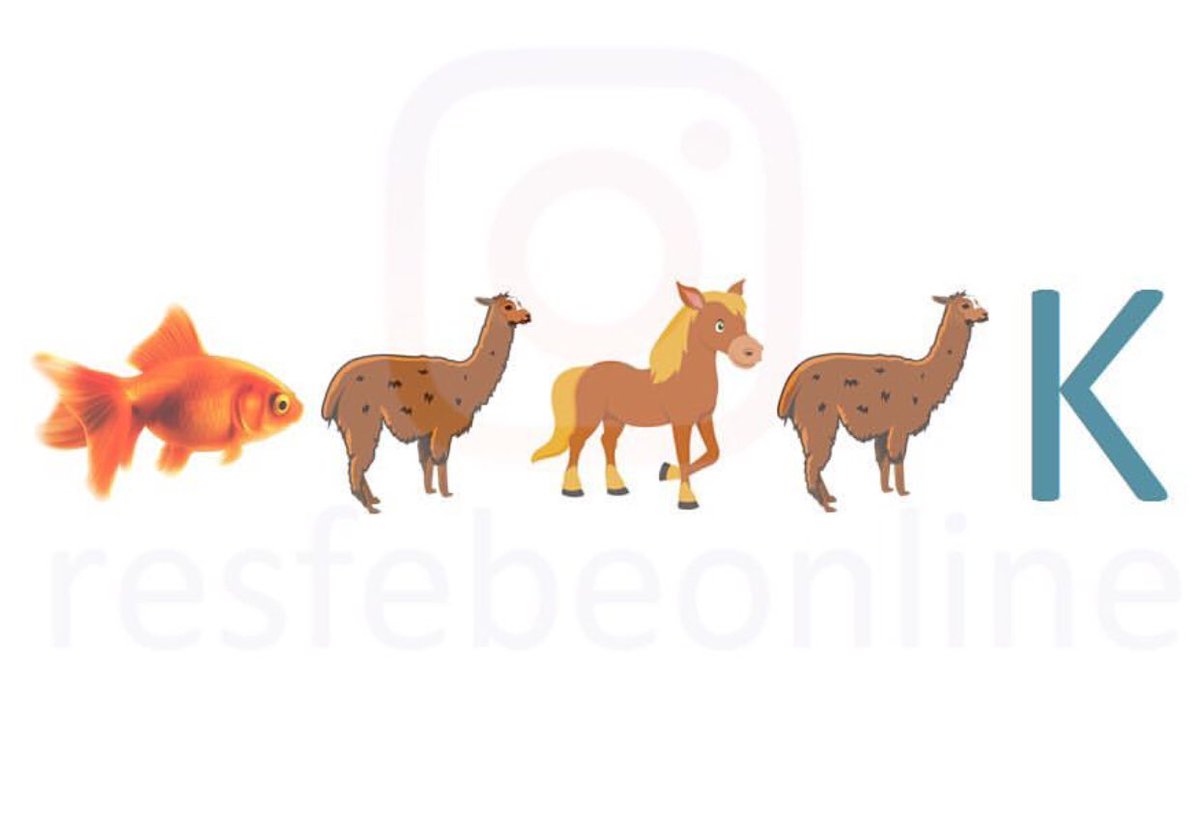 resfebe's tweet image. Bu ve daha fazlası Instagram’da @resfebeonline ve @resfebecocuk sayfasında.

#resfebe #zeka #mantık #oyun #bulmaca #soru #resfebeonline #instagram #etkinlik #ilkokul #takip