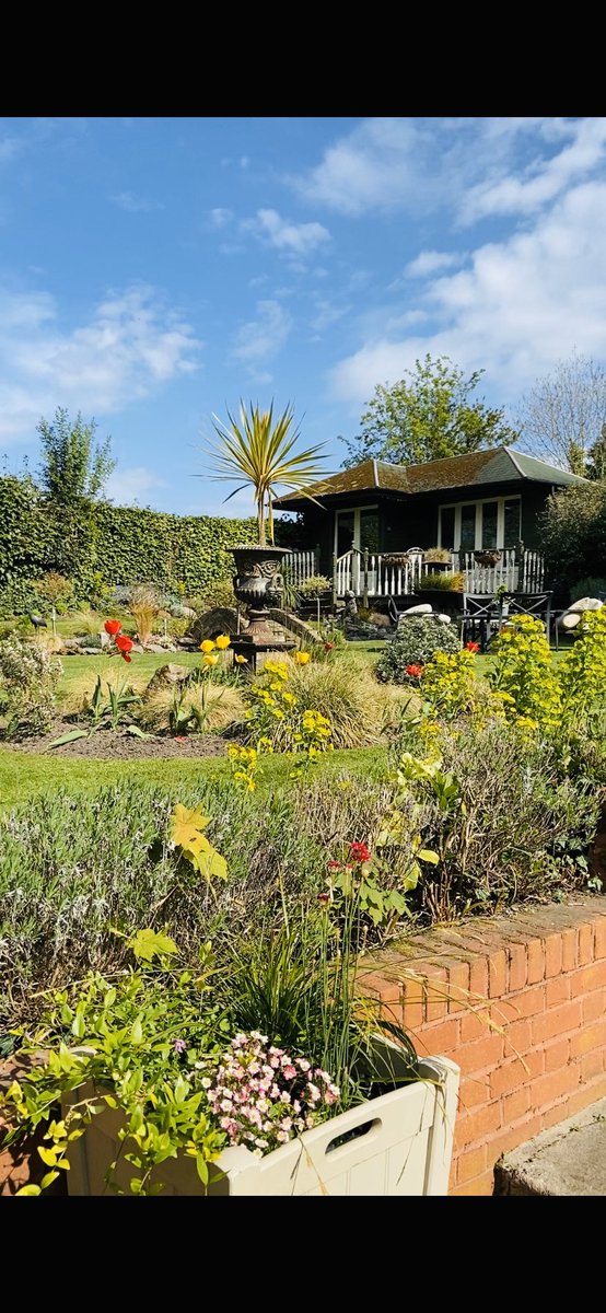 The Alexandra Court tweet media