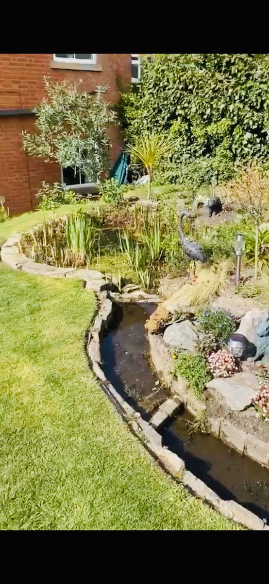 The Alexandra Court tweet media