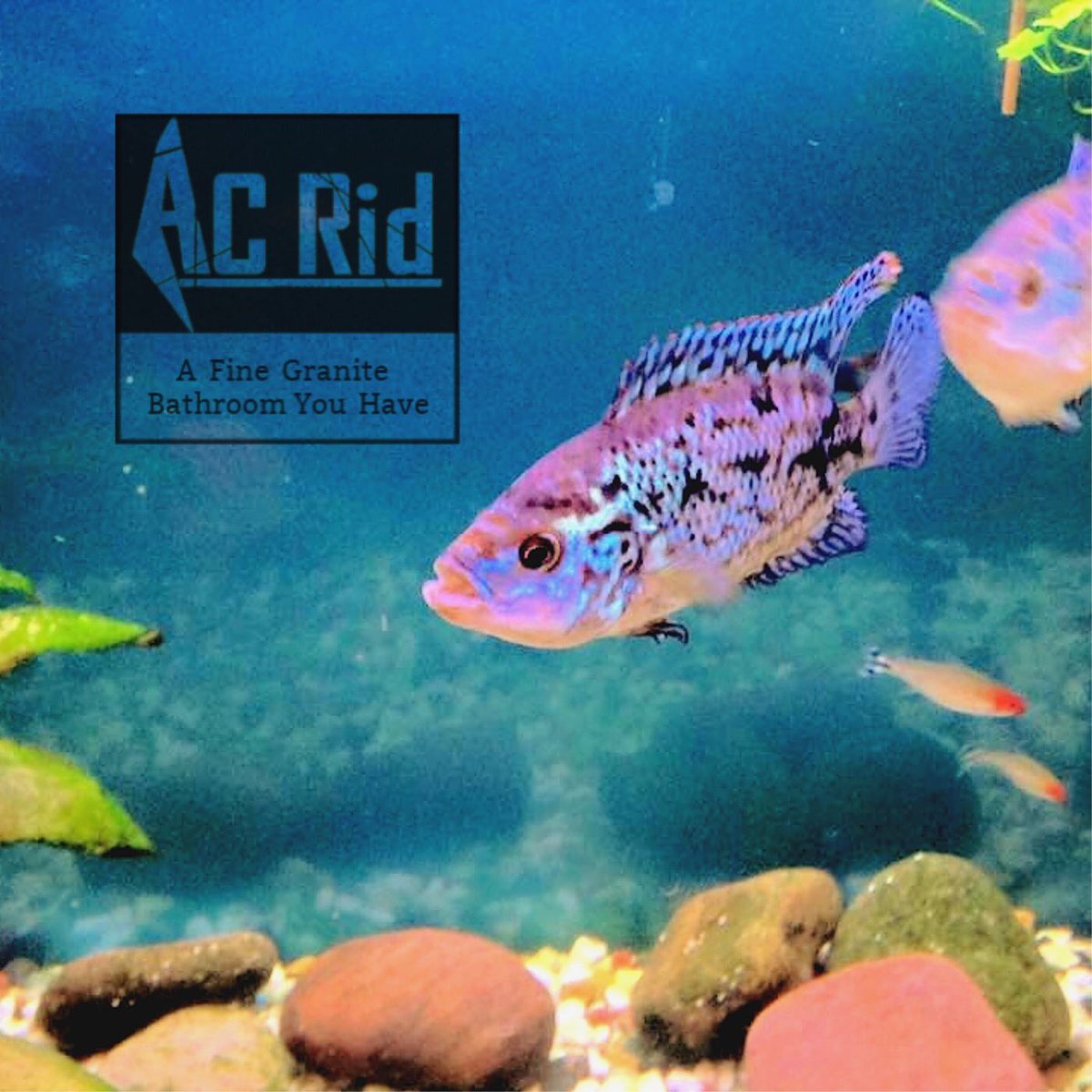 New EP Out Now #newmusic