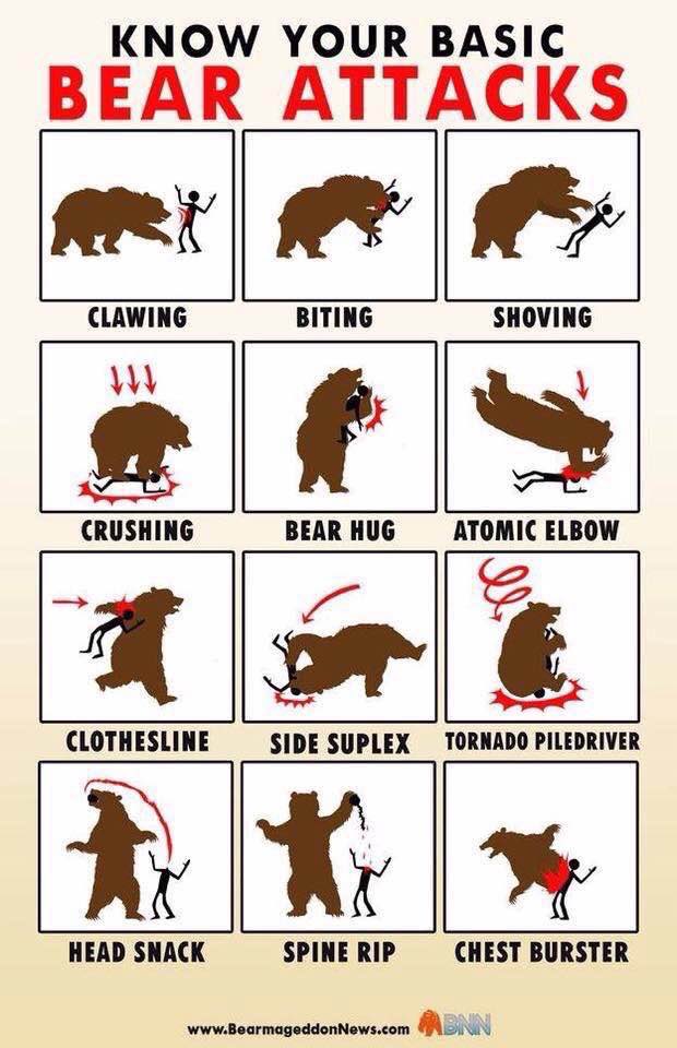 ItsBigNick's tweet photo. Bear attack facts! #bearattack #knowyourbasics #mobsquadtv https://t.co/2rJqbIfOuy