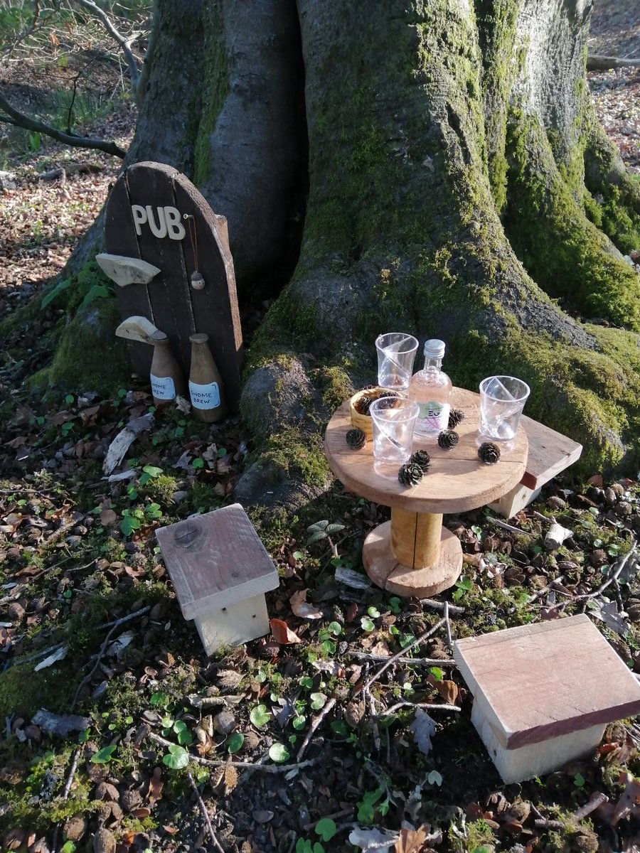 fairysawdust's tweet image. The pub is opem sadley only for the #fairyfolk in #kingmoor woods fairy trail @fairysawdust