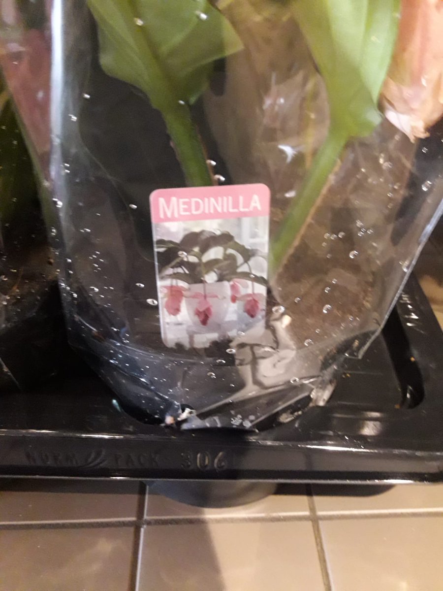 henribeuk's tweet photo. Wat een geweldig cadeau voor onze #zorghelden die dag en nacht klaar staan voor de bewoners van @FlorenceZorg #guldenhuis
Geschonken door https://t.co/45jlRWoSBo uit de Emmastraat in monster.
#ookdatiszorg https://t.co/HdQfkm0xUt