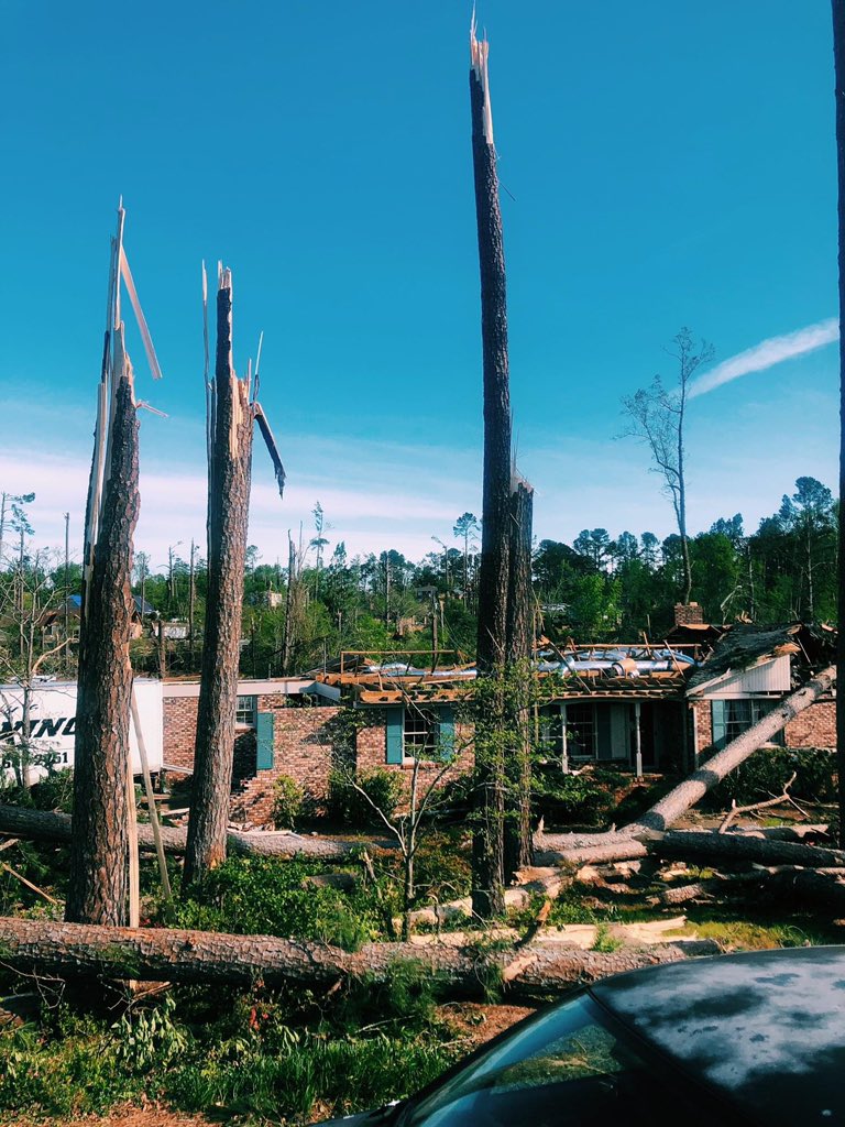 Olivia ✨ tweet media