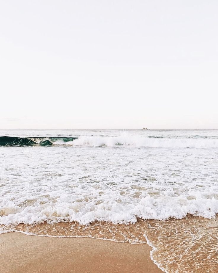 timothée chalamet as photos of the ocean: a thread