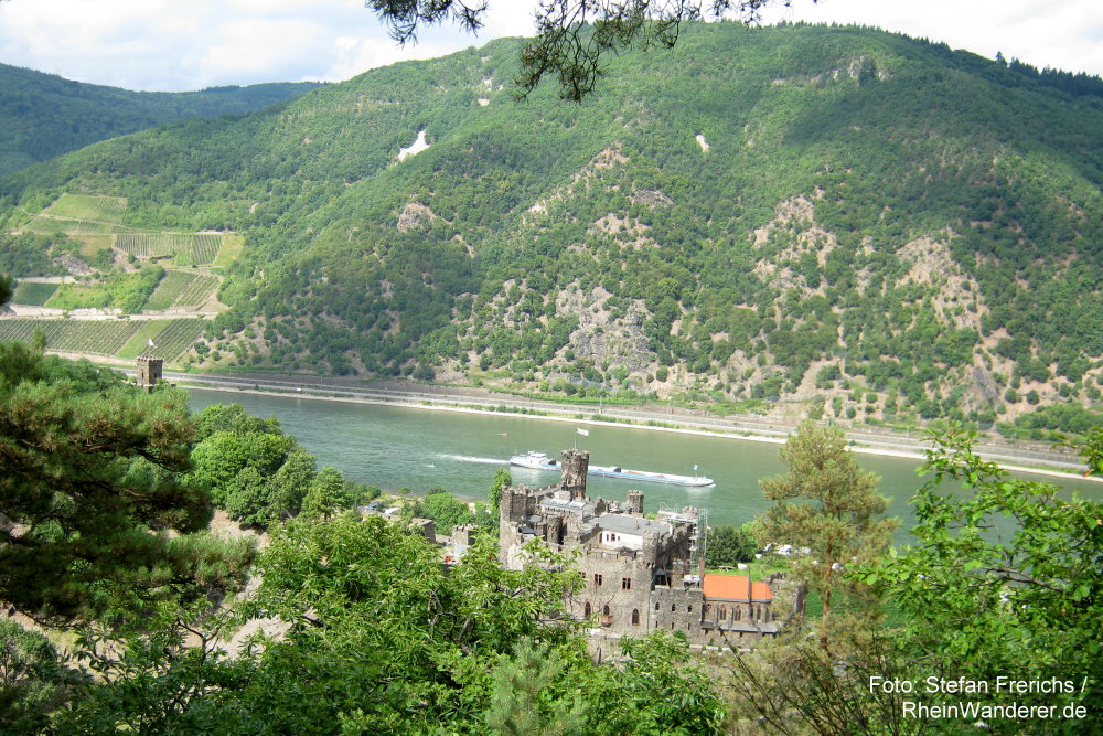 RheinWanderer's tweet photo. #Wandern am #Mittelrhein: Diese schöne #Wanderung (9 km) führt auf dem #Soonwaldsteig von #Bingen über #Damianskopf + Burg #Rheinstein nach #Trechtingshausen. Mein #Tipp: Dort Burg #Reichenstein (Foto) besuchen! Mehr Fotos + Infos hier: https://t.co/x5D64ojGe1 #Rhein #RLPerleben https://t.co/ttgecj1s4u
