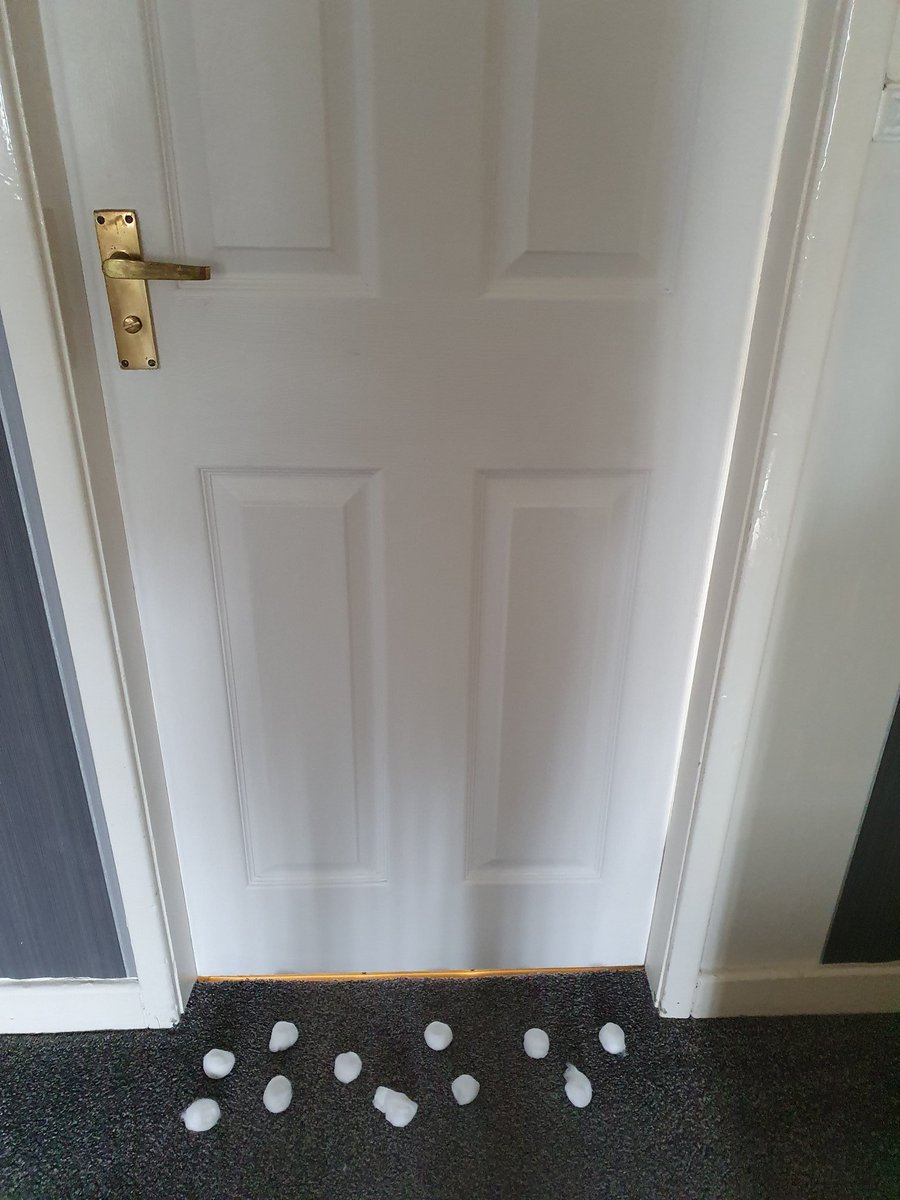 RJR201110's tweet image. He decided to show me pictures of snakes whilst I was showering so he's about to step foot into his worst fear #cottonwool