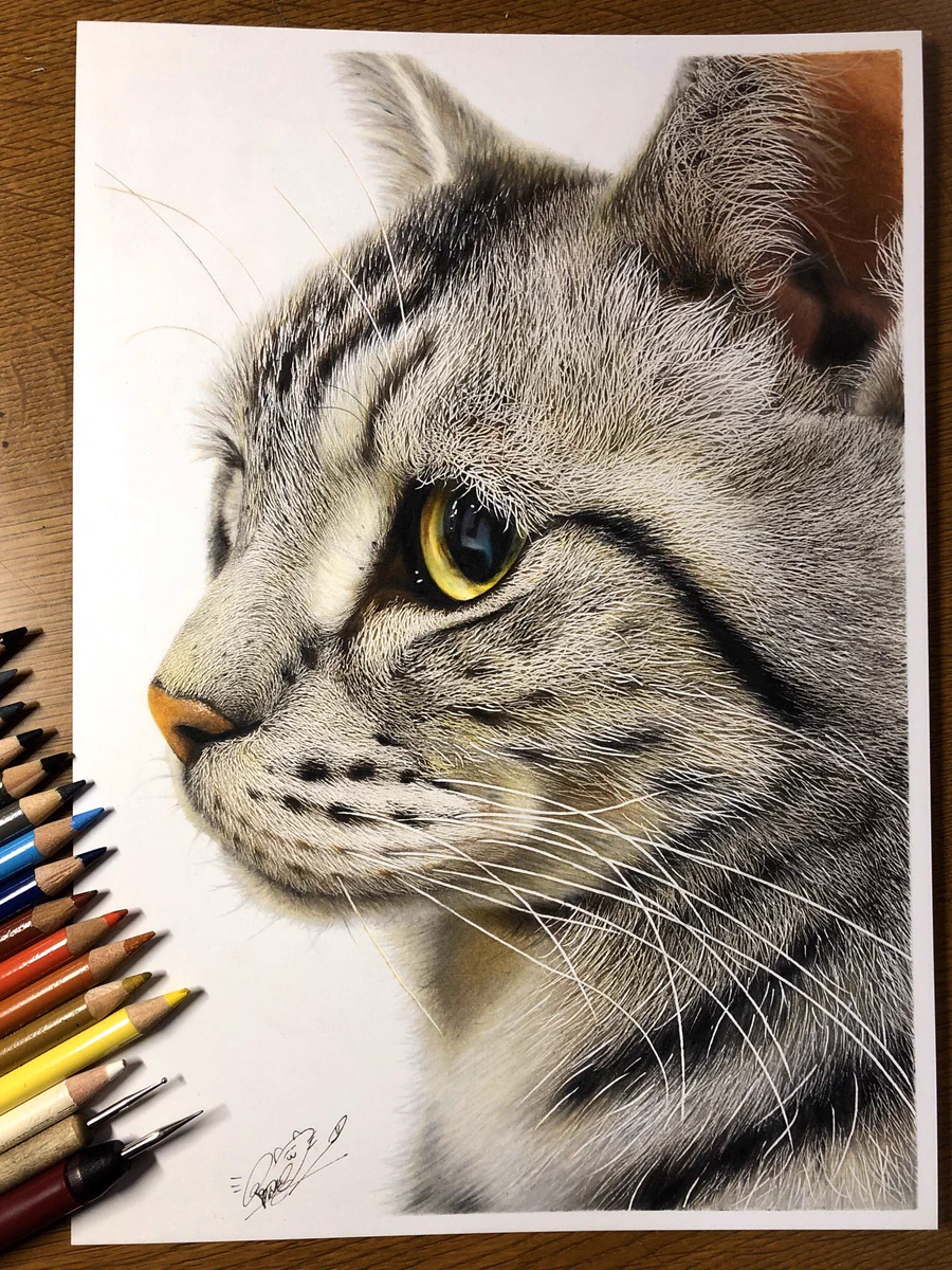 これ写真でしょｗｗ色鉛筆で描いた猫ちゃんがリアルすぎてビビったｗｗ