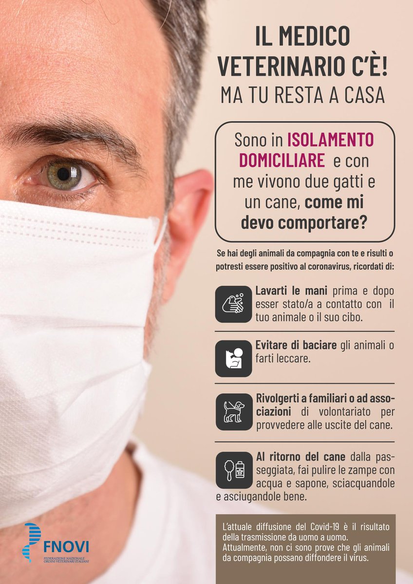 Clinica Veterinaria Gran Sasso (@clinicacvgs) on Twitter photo 