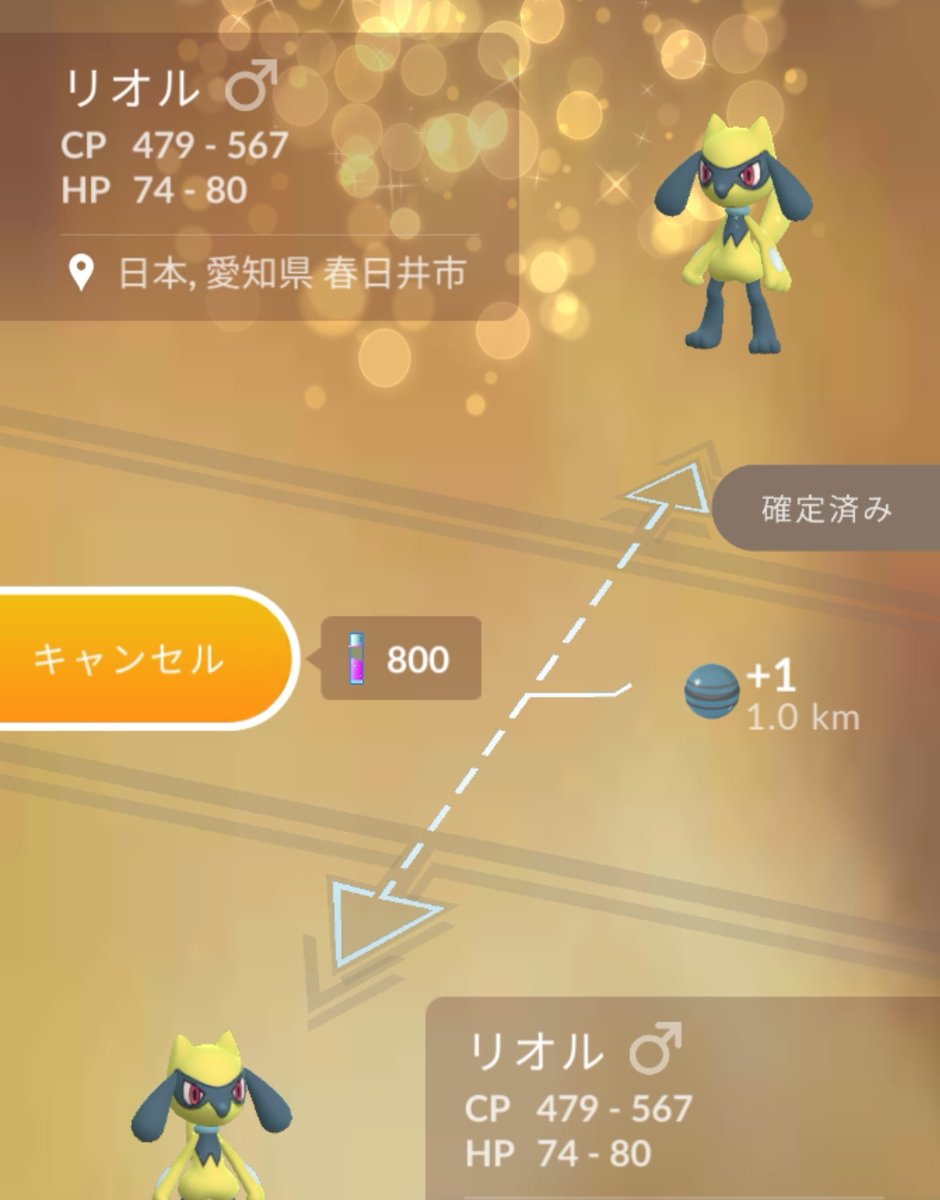 ぎゅみ やりました ٩ ˊᗜˋ و フレンド様とのキラ交換で黄色のリオルくんが 567 100 だ D D 幸せです ポケモンgo リオル色違い100 キラ交換 T Co Kiet9hzcz6 Twitter