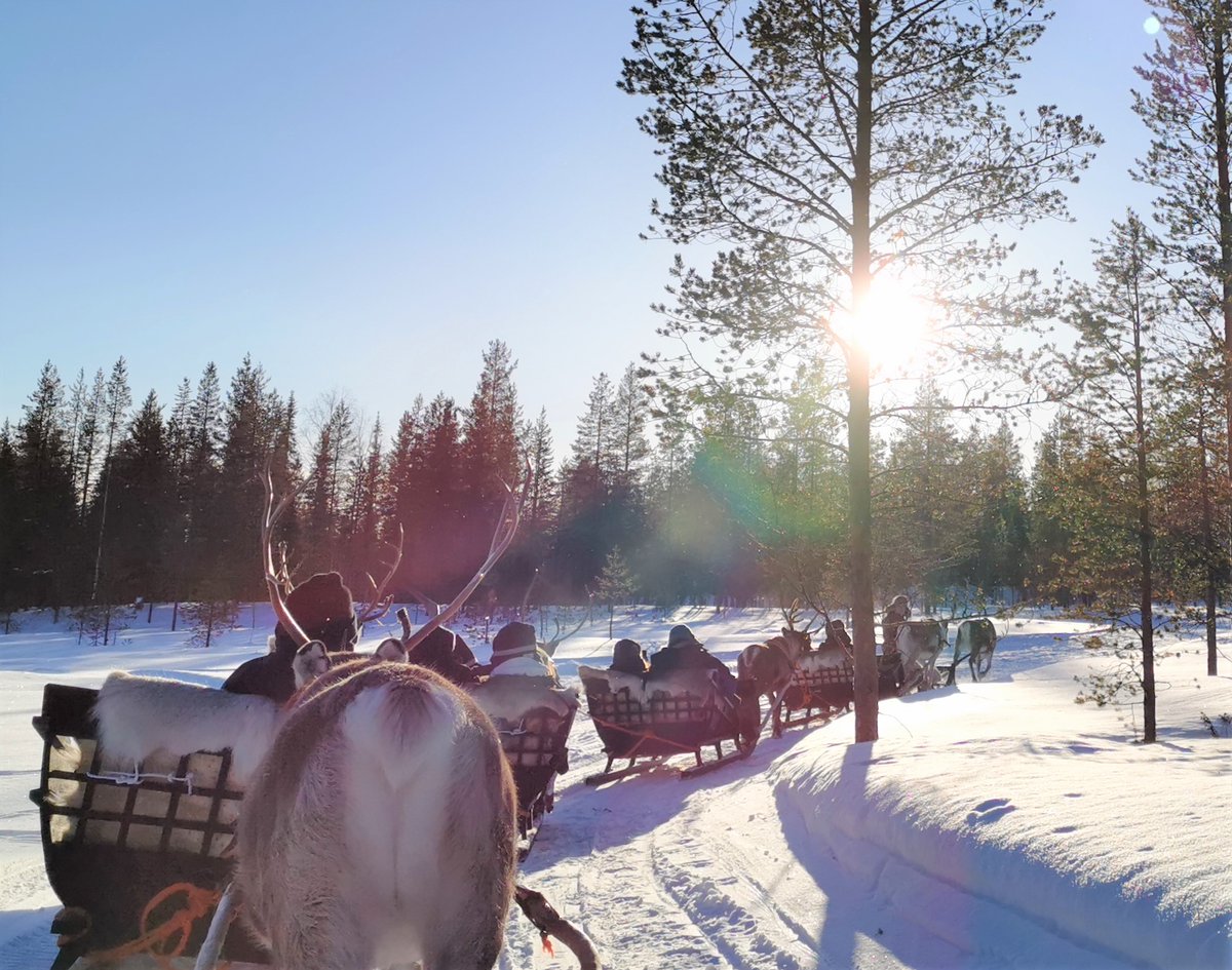 Friends, 3 of our 4 seasons have been introduced to you so now it's time for #SpringInLapland photos! Hopefully, one day you all get to visit #SantasHotels and experience your favorite season with us! #DreamNowTravelLater That's @pip_says snowmobiling! Photos: @Touchse