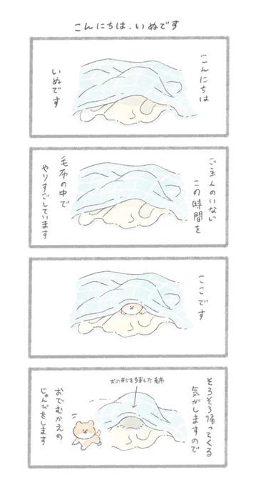 こんにちは、いぬです 