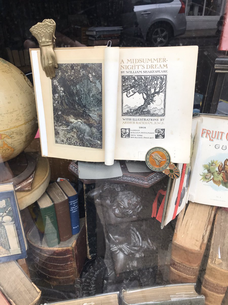 Magnemar2000's tweet photo. In window of Allsops Bookshop in #Warwick - beautiful book #smithst #dream https://t.co/dXydbimz31
