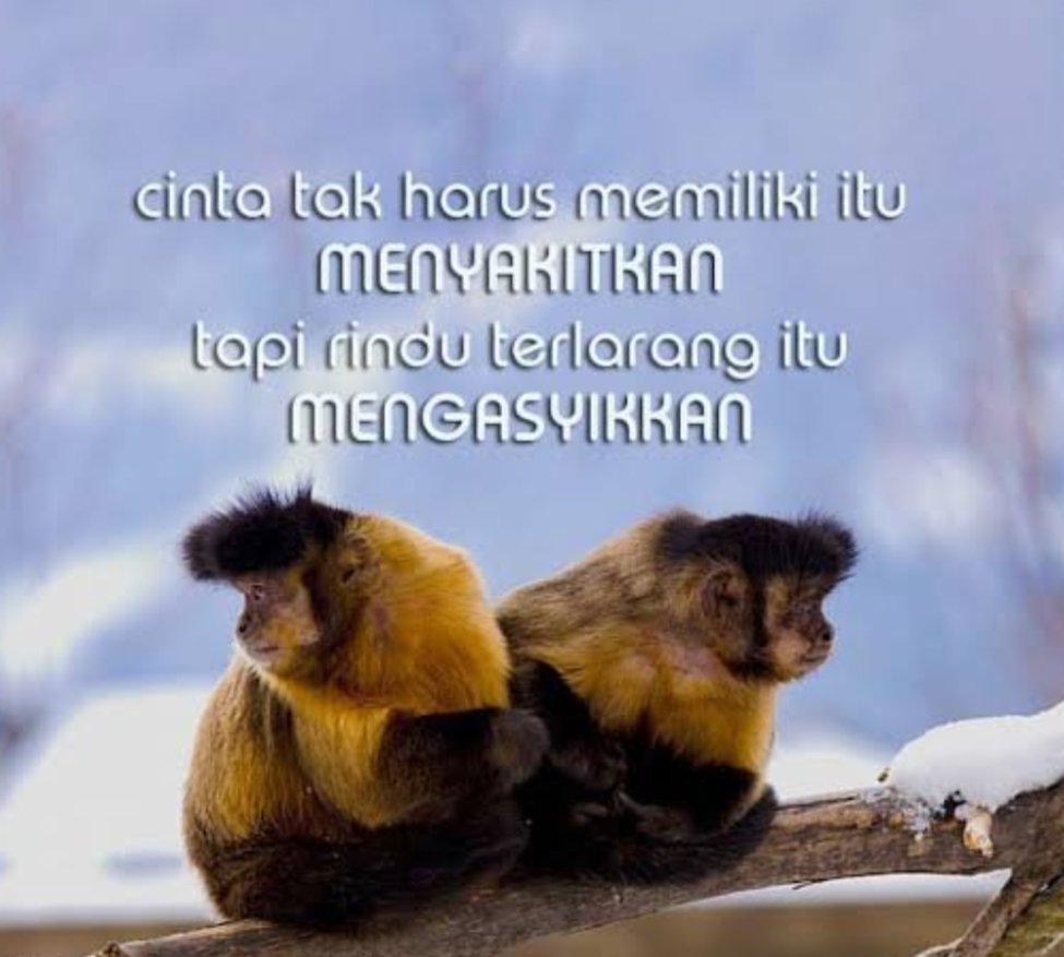 Real di kehidupan gw saat ini 🙏🤣😂