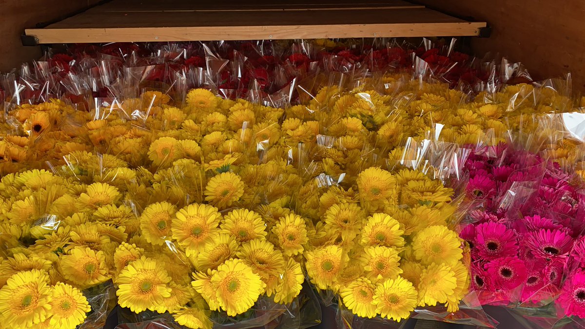 RCLandgraaf's tweet photo. Gaan langzaam opstarten en genieten van een heerlijk dagje #bloemen #dankjewel #rclandgraaf #blijfbinnen #houvol https://t.co/TDk9e9Rozk