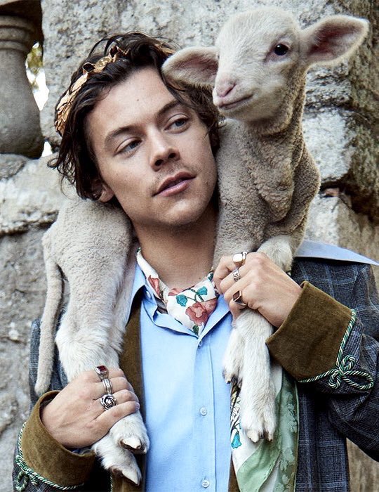 best of harry. on Twitter: