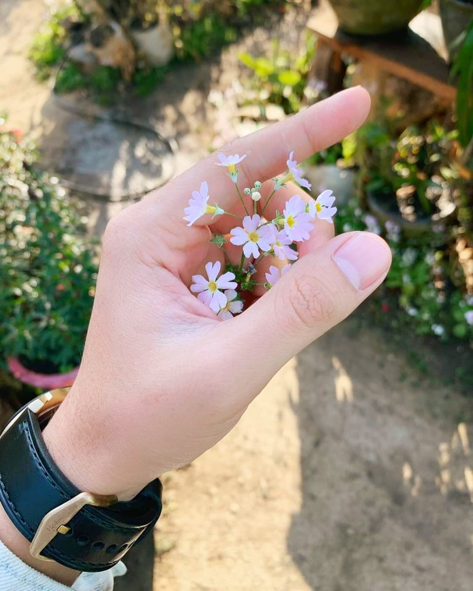fog_hazy's tweet photo. roses are not all red 🥀
and, violet will never be blue 💜💙
and, whatever happens 🙂
you'll never love me 😣
the way that i love you💔 https://t.co/RQpLraHxZy