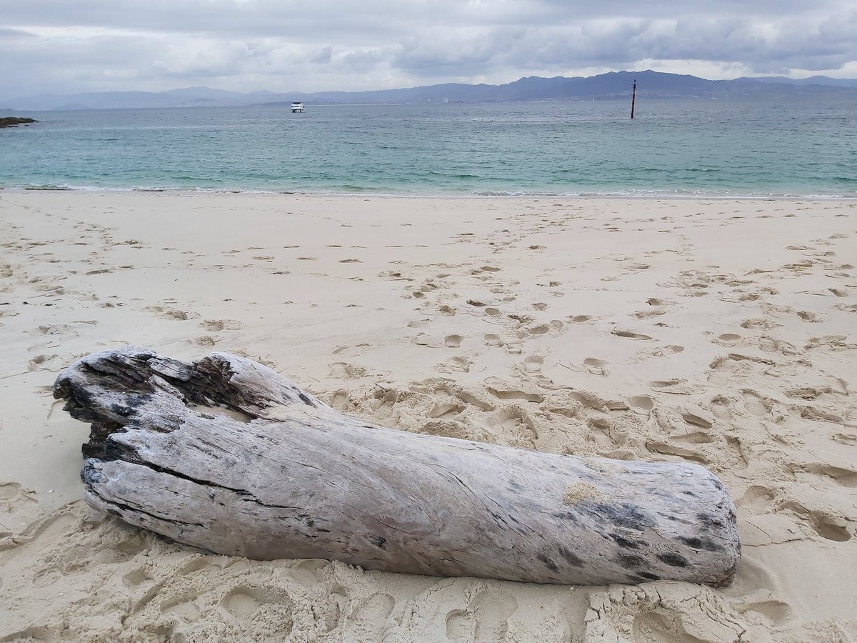 Xabi196420's tweet photo. Bos días 🤗😘!! #PraiaDeRodas #IllasCies 

@puestadesolvigo @CachotaMarite @ALCALDEJOS https://t.co/PSeWCeP0gB