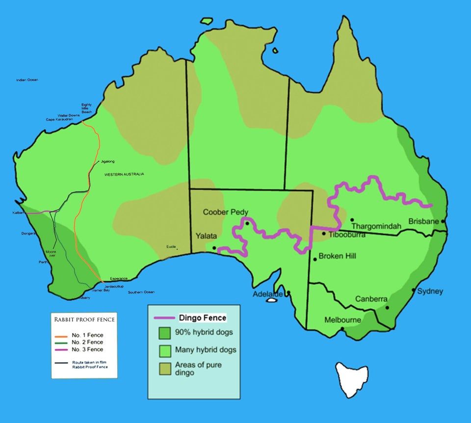 Simon Kuestenmacher On Twitter Map Shows The Dingo Fence And The Rabbit Proof Fences Of Australia The Corona Proof Fence Is The Ocean Source Https T Co Gv6sr1kkbm Https T Co 8jyh9z0t7p Twitter Simon Kuestenmacher On Twitter Map Shows The Dingo Fence And The Rabbit Proof Fences Of Australia The Corona Proof Fence Is The Ocean Source Https T Co Gv6sr1kkbm Https T Co 8jyh9z0t7p Twitter