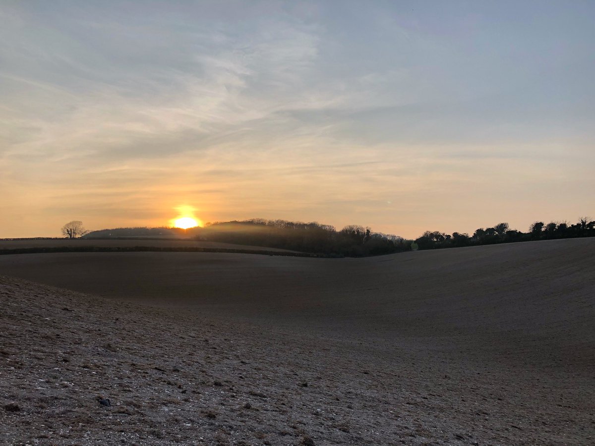 Freshly ploughed field at sunset #dorset #landscape #sunset