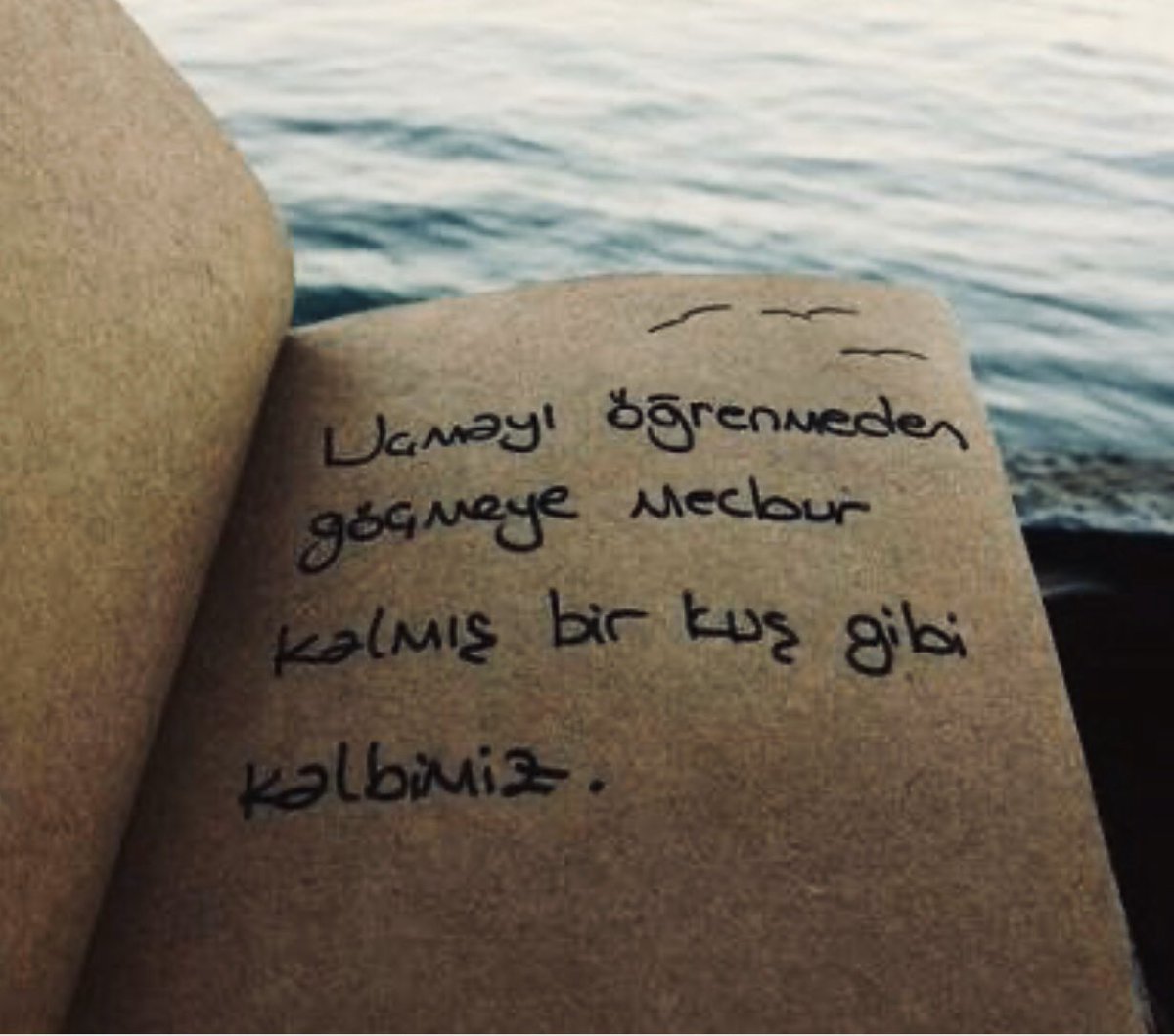 istnbl___'s tweet photo. Zarifoğlu’da olmasa kim tercüman olur hislerimize.. https://t.co/2Gutrtv4Pl