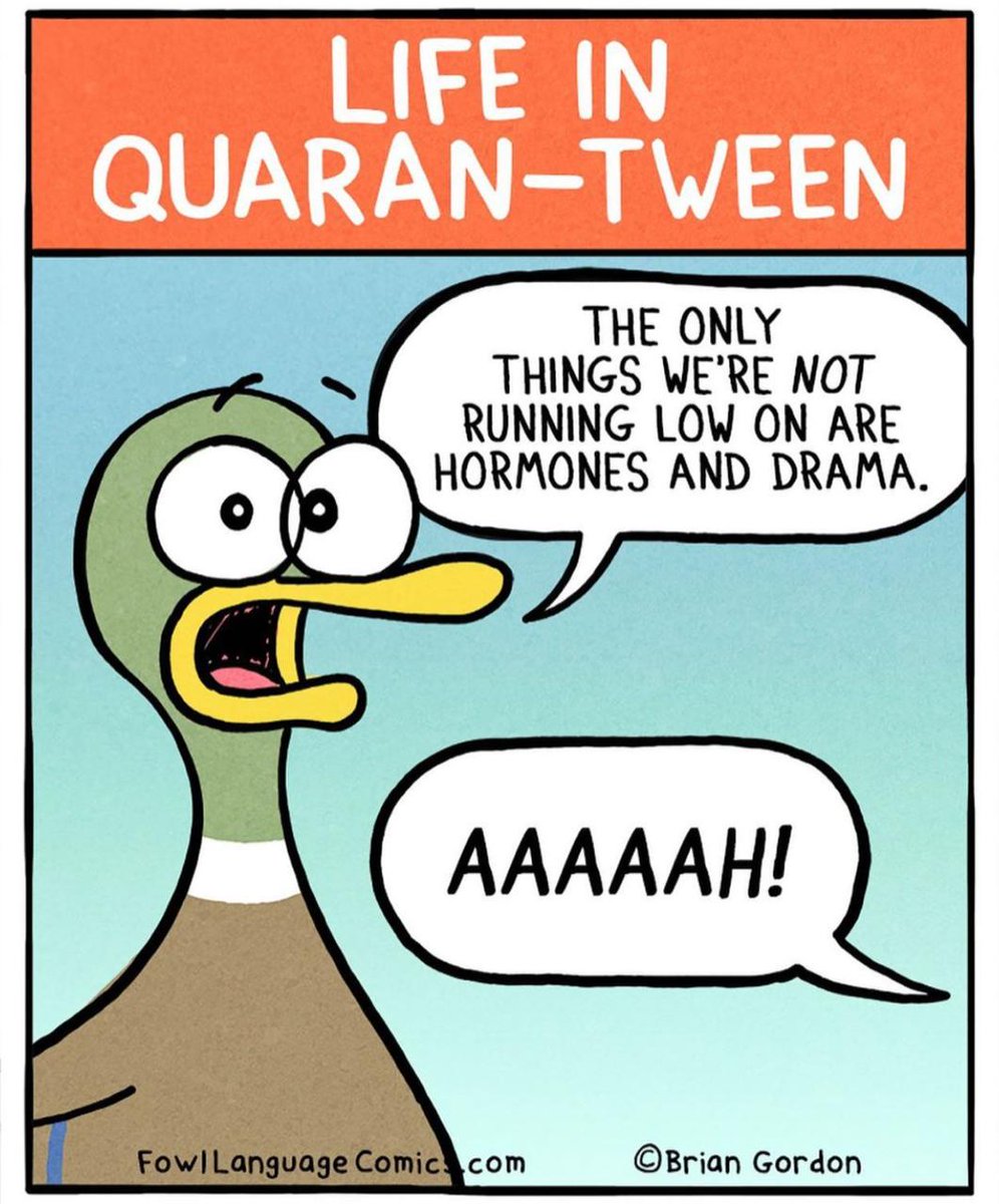 SumatiSahgal's tweet photo. Only humor can keep you sane in such times ! And Brian gordon sure does bring that smile https://t.co/sxj2Y5kB2D #lockdownhumor #QurantineLife https://t.co/1o1npXJ2vP