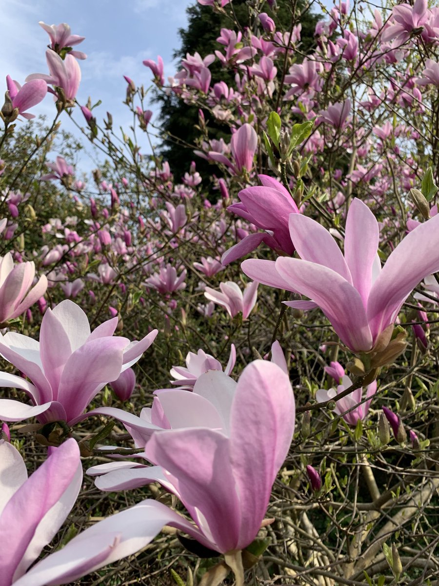 Sarah Baker tweet media