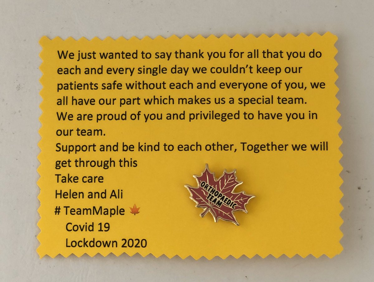 Mez568's tweet photo. Thank you to our ward sisters for this lovely gift, your support means the world to our team and we wouldn’t be such an amazing team without you both 💙💙#teammaple🍁 #traumaortho #nhs #StayHomeSaveLives @NCICNHS @NHSMillion https://t.co/VWZRq7aGl6