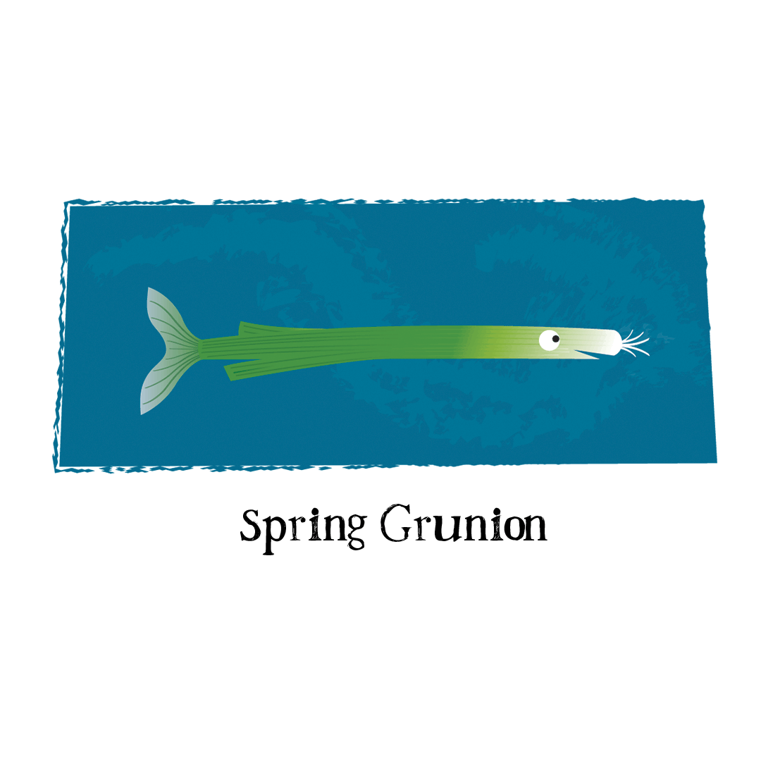 AlanLRowe's tweet photo. A day late, but it’s hard to keep track at the moment.
For those who don’t know, a  grunion is a species of fish…a spring grunion isn’t.
#fishfriday #fishpuns #illustration #illustration #cartoon #cartoons #humorousillustration #puns #funnyimage #ideas #sillydrawings #punideas https://t.co/Yc4rnvqeHD