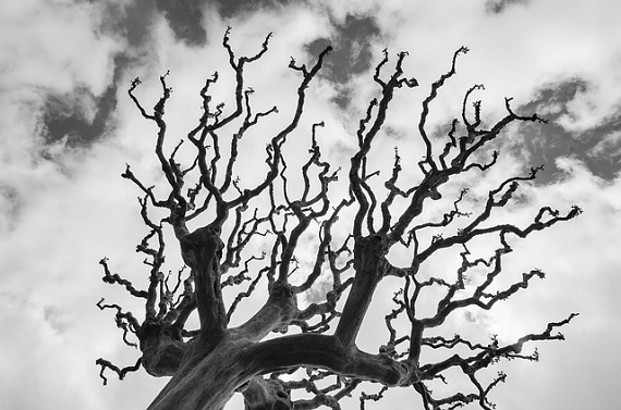 everydaybalance's tweet photo. A Vlog exploring the anger phase of the loss process and how it works its way healthily out of our system.

https://t.co/SyAHVkqgkY
#mindfulness #loss https://t.co/KtE3YGFgft