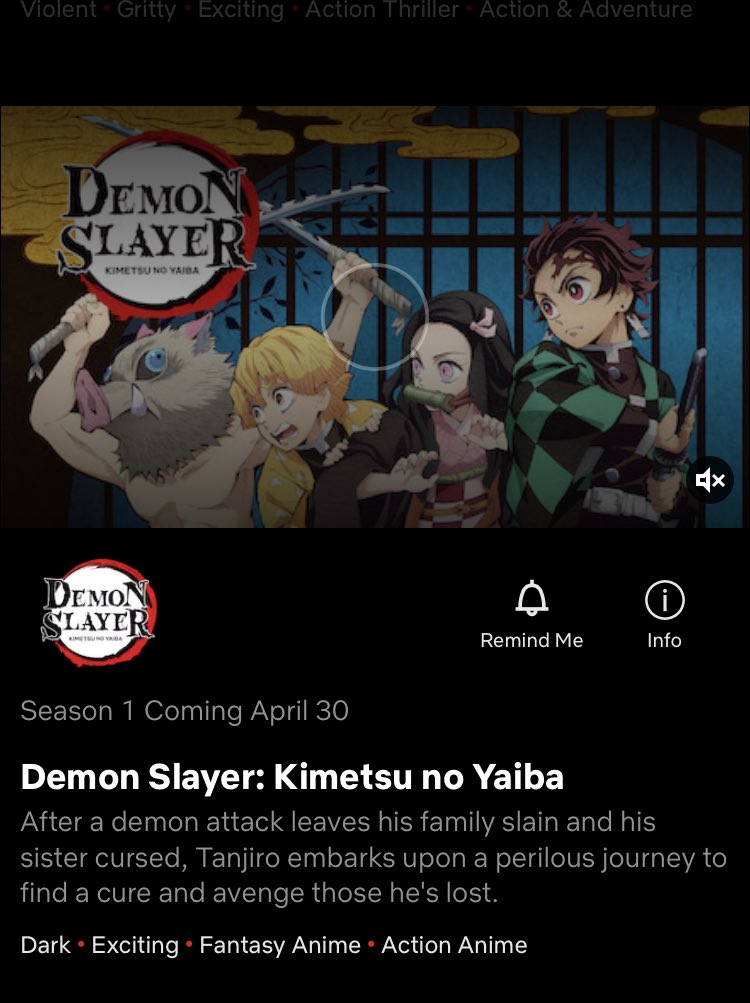 Demon Slayer Kimetsu No Yaiba Netflix Release Date Updated