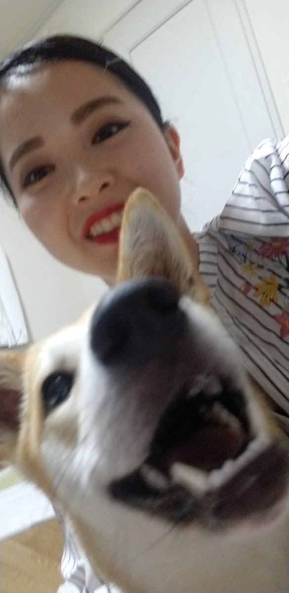 _shk_1990's tweet photo. りんちゃんに出会えてよかった。

りんちゃんが居てくれてよかった。

何があっても最期まで私がりんを守るよ。
いつも私を笑顔にしてくれるりんちゃん。
大好きだよ。 https://t.co/fbBNA0glg9