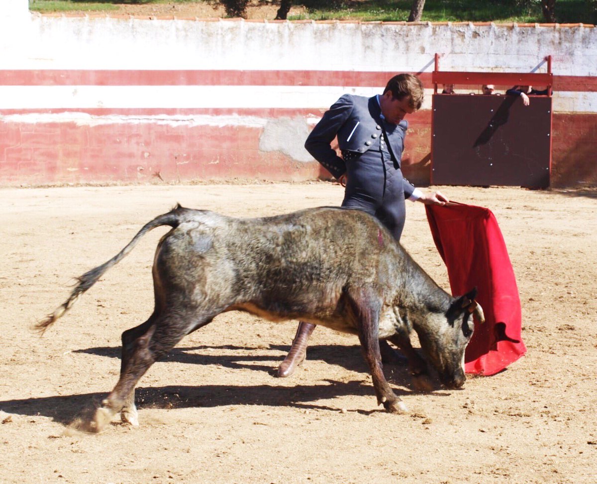 Tentadero en Blanco de Torres. Uno de los últimos antes del #confinamiento ⠀ 
⠀
#tentadero #campo #cordoba #echandotedemenos #toreo #tauromaquiasi #javiercortes #bennu #quedateencasa