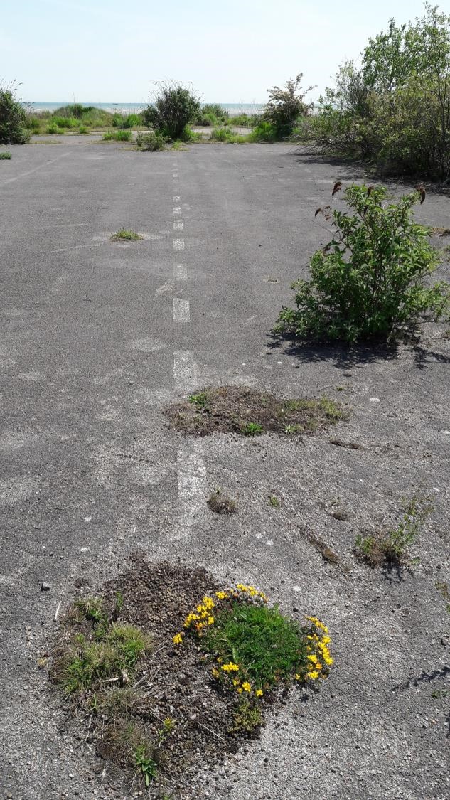 _LaraBand's tweet photo. 4/15 But: 1970s oil crisis + slower but larger ferries = Hovercraft no longer viable and the Hoverport closed in 1982. The buildings were last used as a centre for Kent police during the coal miner’s strike of 1984/5, another irony that sandwiches the site #PMAC20 https://t.co/40irx6LxU3