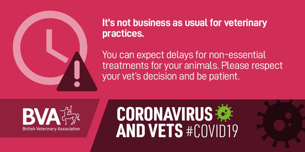 BritishVets's tweet photo. Vets are playing their part in reducing the spread of #COVID19. This means that they're assessing &amp; prioritising treatments on a case-by-case basis, but we're hearing reports of undue pressure and even abuse from clients. Please #RespectYourVet's decision https://t.co/V74GvIK7eA https://t.co/NqY04h2tGx