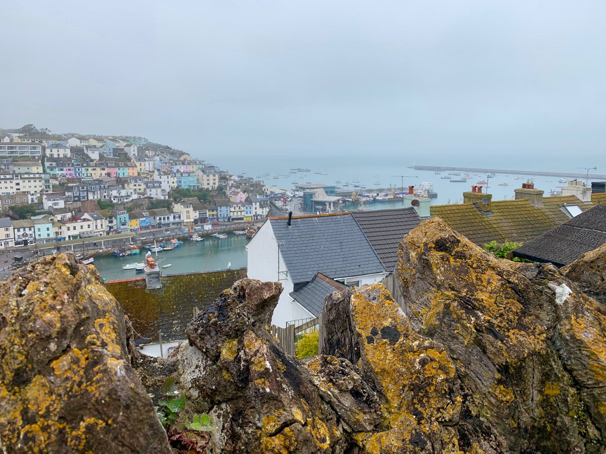 Saturday greetings. #brixham #harbourlife