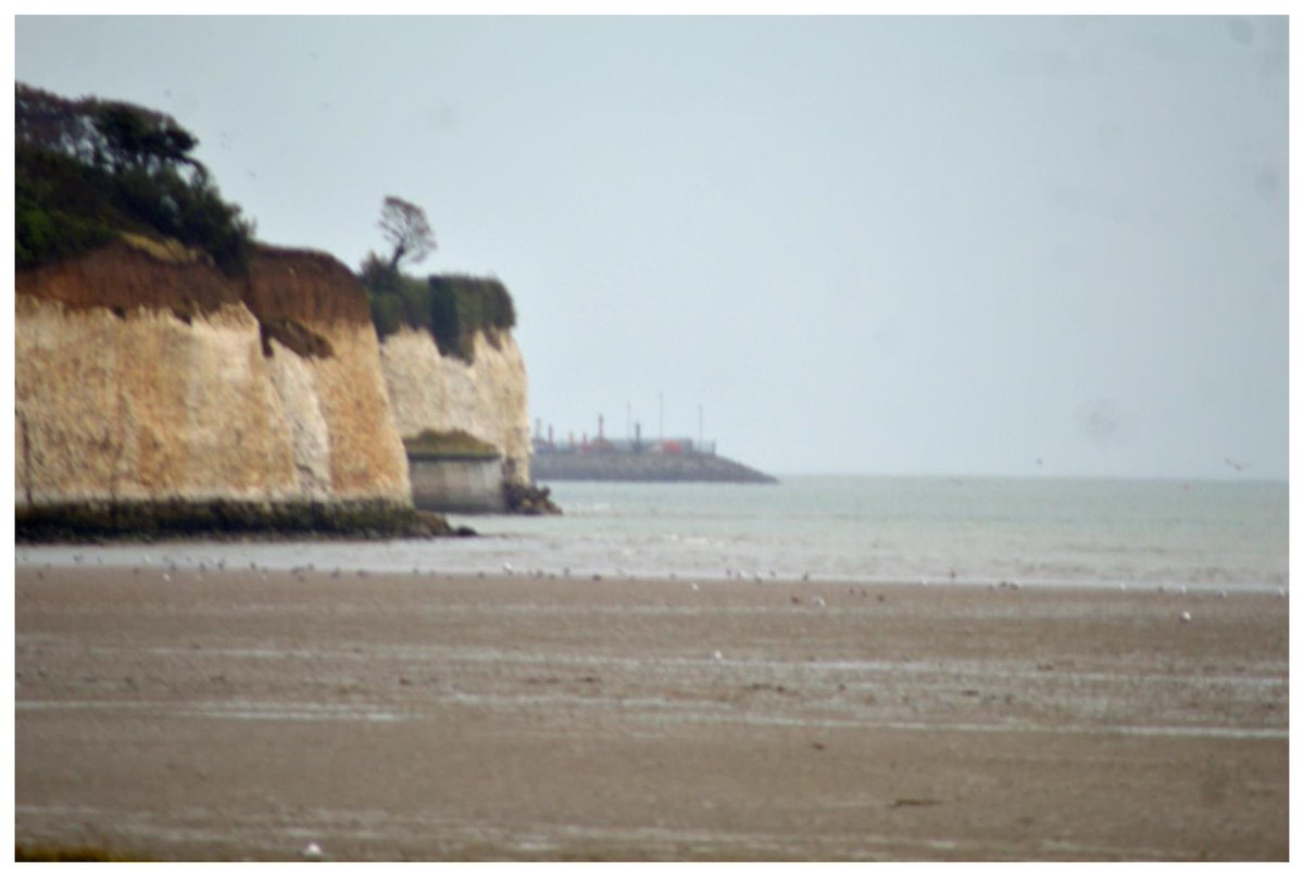 _LaraBand's tweet photo. 13/15 And Lee’s view towards Ramsgate, from one port to another, capturing the fragile windblown loess topping the neighbouring chalk cliffs. Lee summed up the site perfectly: ”It was weird, but interesting” #PMAC20 https://t.co/mBbQaICgc9