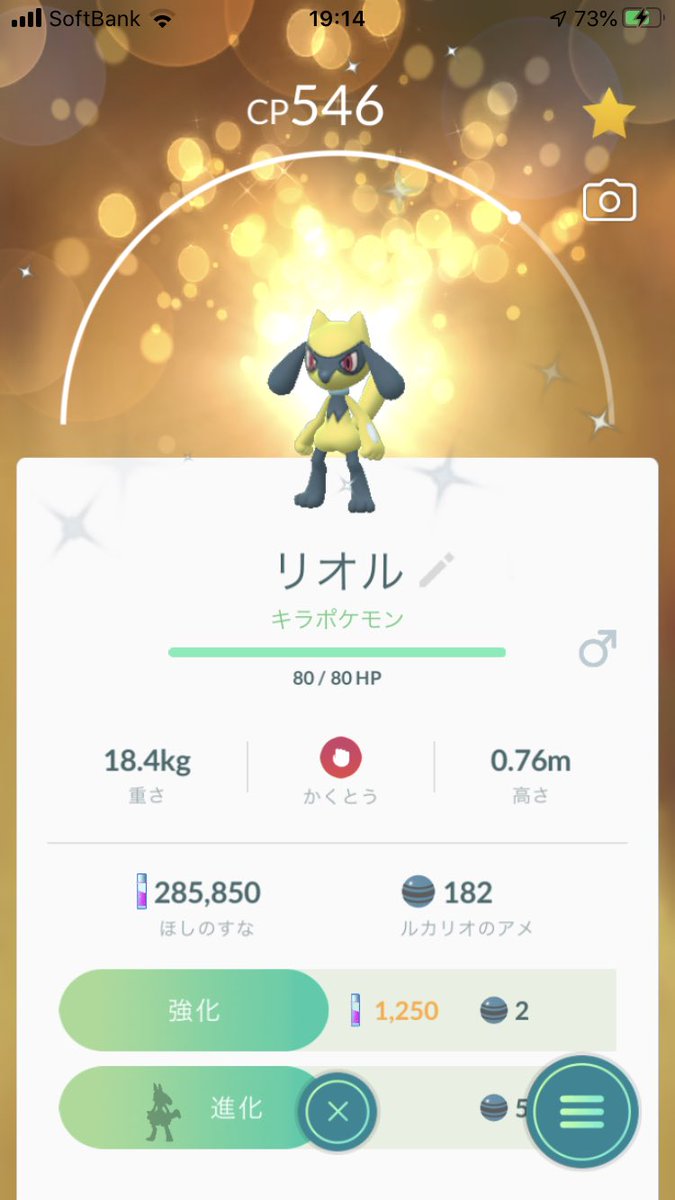 色違いキラポケモン