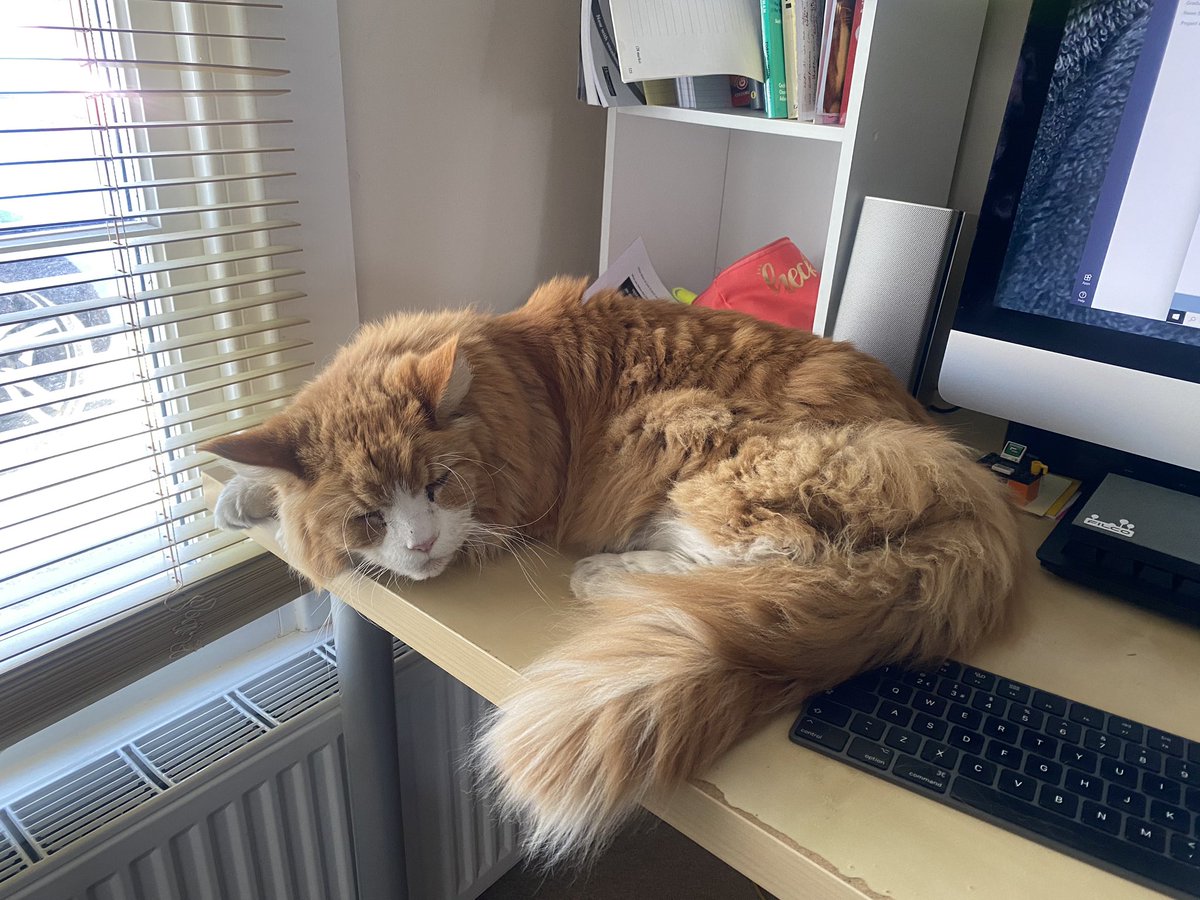 Jen Little tweet media