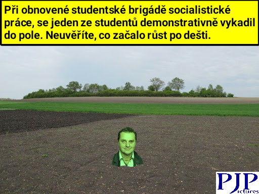 PJPictures1's tweet photo. A pak, že nic neroste.
#obusek #ondracek https://t.co/m0c8ogHpad