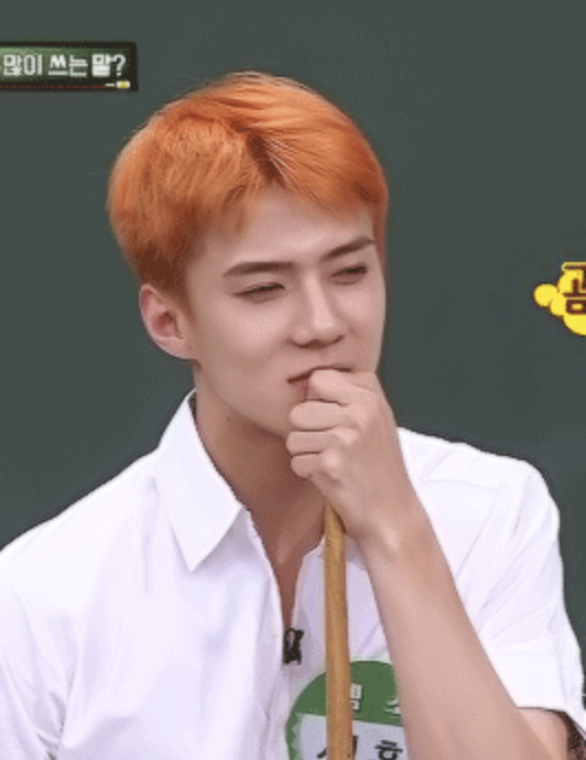 sehun as kyo sohma because im their hoe... we all are