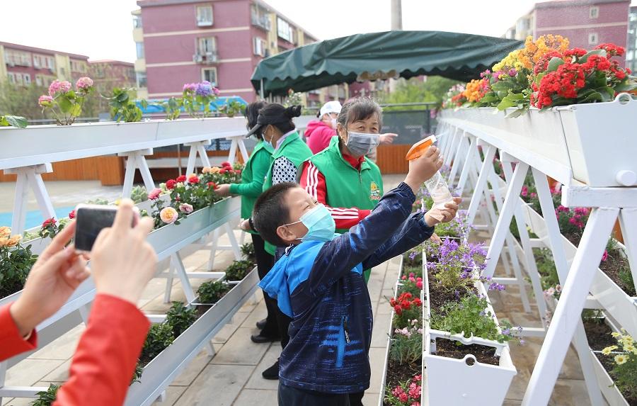 SpotlightBJ's tweet image. Turning waste into treasure!😎

Residents in #Beijing’s Haidian district have built a beautiful rooftop garden. They use kitchen waste to make nutrient-rich soil for planting. It’s a creative way to promote #GarbageClassification.👍[Photo/chinadaily.com.cn] #SpotlightBeijing