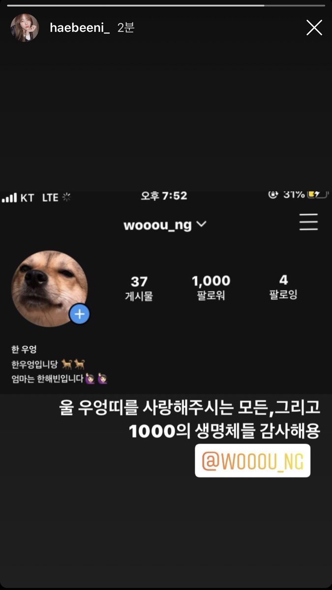 BeanUs0816's tweet photo. 햅스타그램❤️ 

우엉이 천팔이네❤️ 우엉이 이뻐❤️ 우엉아 축하해엉~ https://t.co/hizS5LhgSB