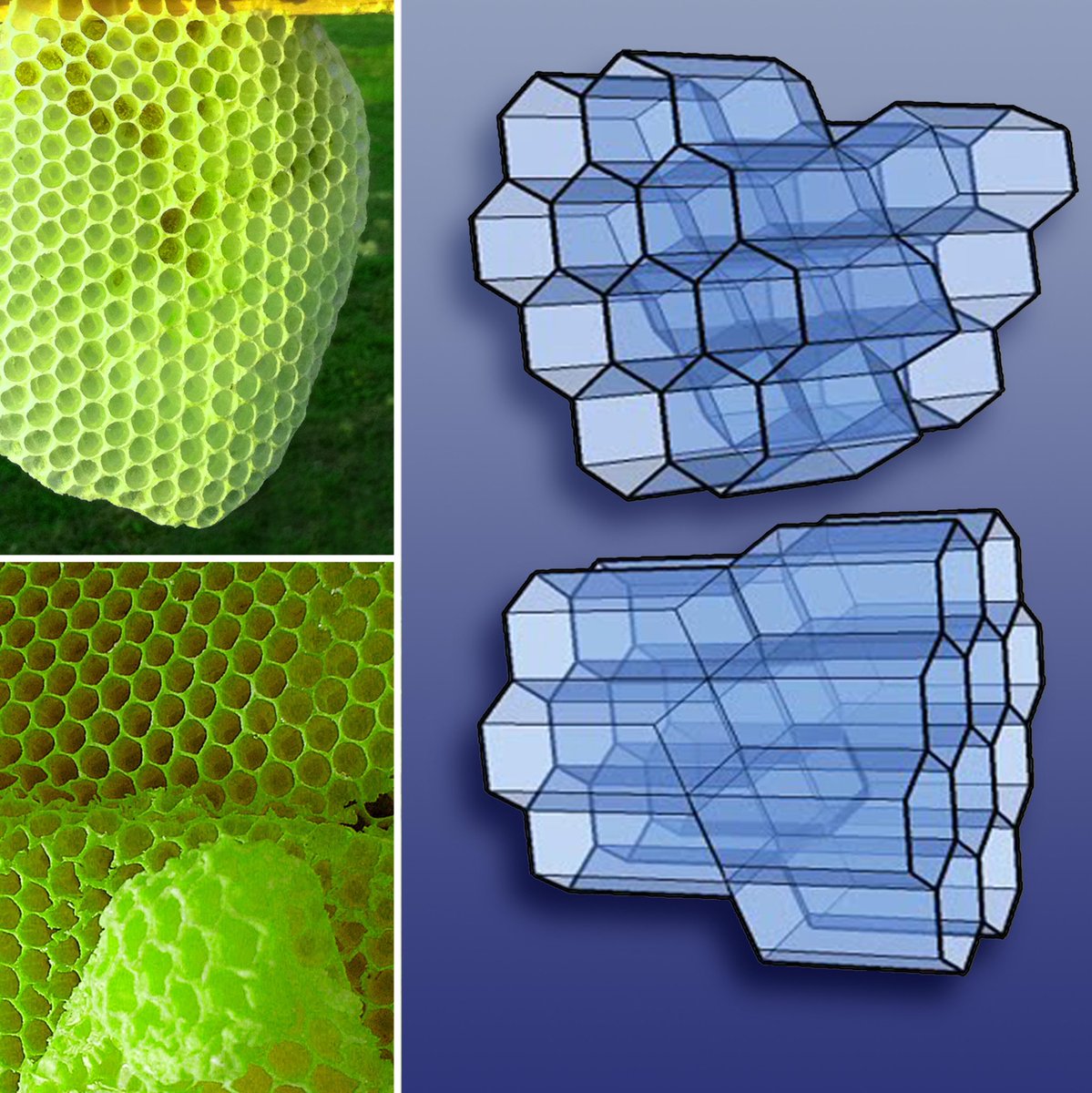 VINCENT CALLEBAUT ARCHITECTURES (@vcallebaut) on Twitter photo “HONEYCOMB TOWERS”, PARIS SMART CITY 2050 _ PORTE DES LILAS
A hive of honeycomb housing developing an energy solidarity cooperation by <a href="/VCALLEBAUT/">VINCENT CALLEBAUT ARCHITECTURES</a>
#ClimateChange
#Sustainability
#ecology
#architecture
#resilience
#greenbuilding
#biomimicry
#housing
#property “HONEYCOMB TOWERS”, PARIS SMART CITY 2050 _ PORTE DES LILAS
A hive of honeycomb housing developing an energy solidarity cooperation by <a href="/VCALLEBAUT/">VINCENT CALLEBAUT ARCHITECTURES</a>
#ClimateChange
#Sustainability
#ecology
#architecture
#resilience
#greenbuilding
#biomimicry
#housing
#property