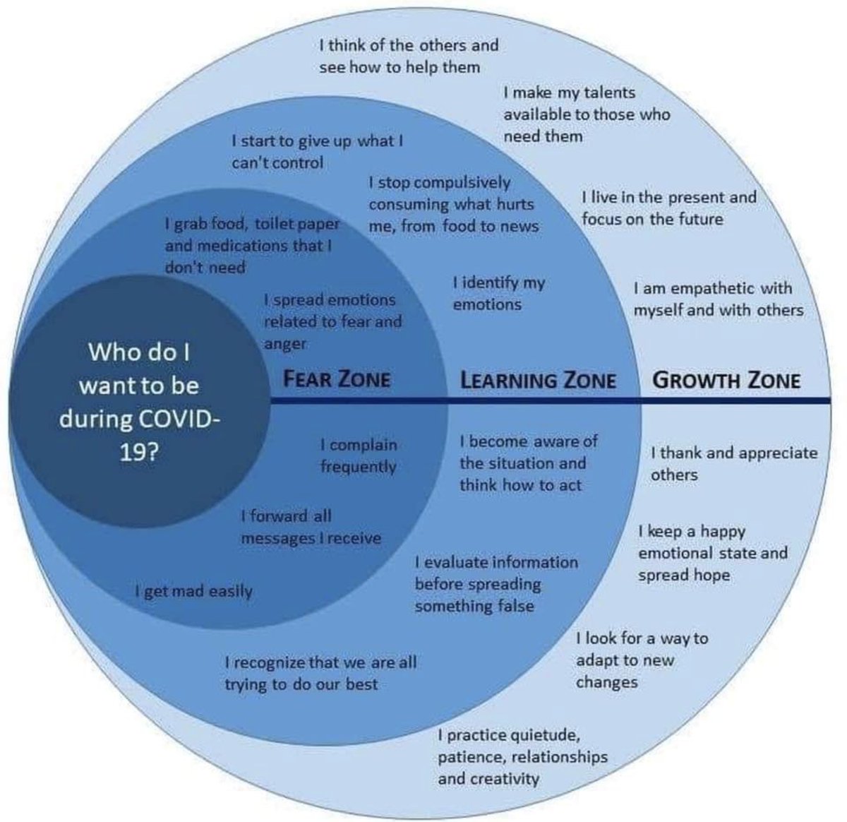 profgalloway's tweet photo. This variation of the classic chart, adapted for Covid, is good, but it may be better to make your own version. For you the growth zone may be getting through the day without screaming at someone. 

#saturdaymorning https://t.co/XMC7wMeZDx