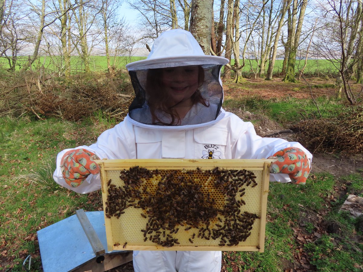 C_Beecology's tweet photo. An essential travel trip to check on the hives. Rhona our youngest beekeeper inspecting the new frames https://t.co/RSQaLpDmMx
