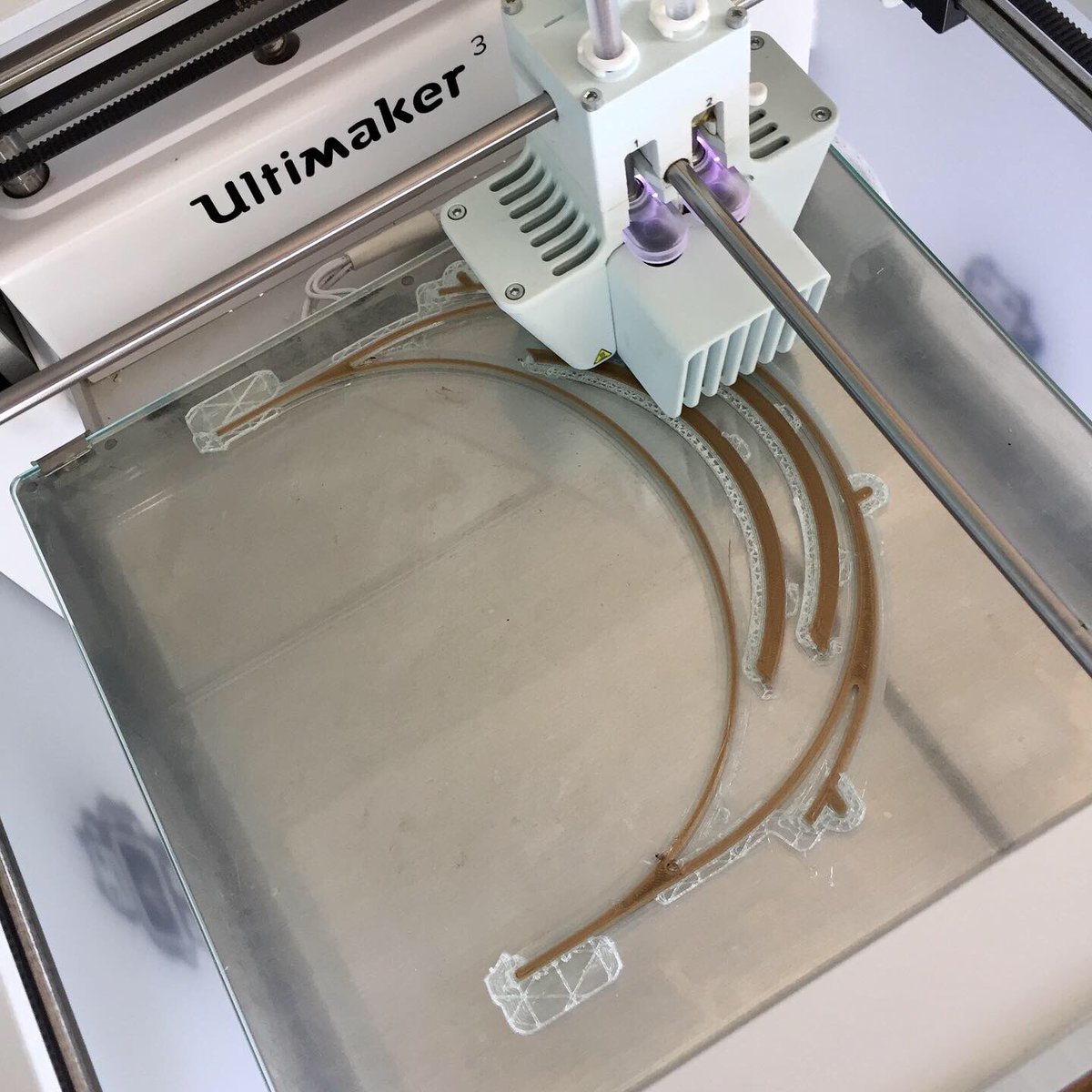 Holly Stephenson tweet media