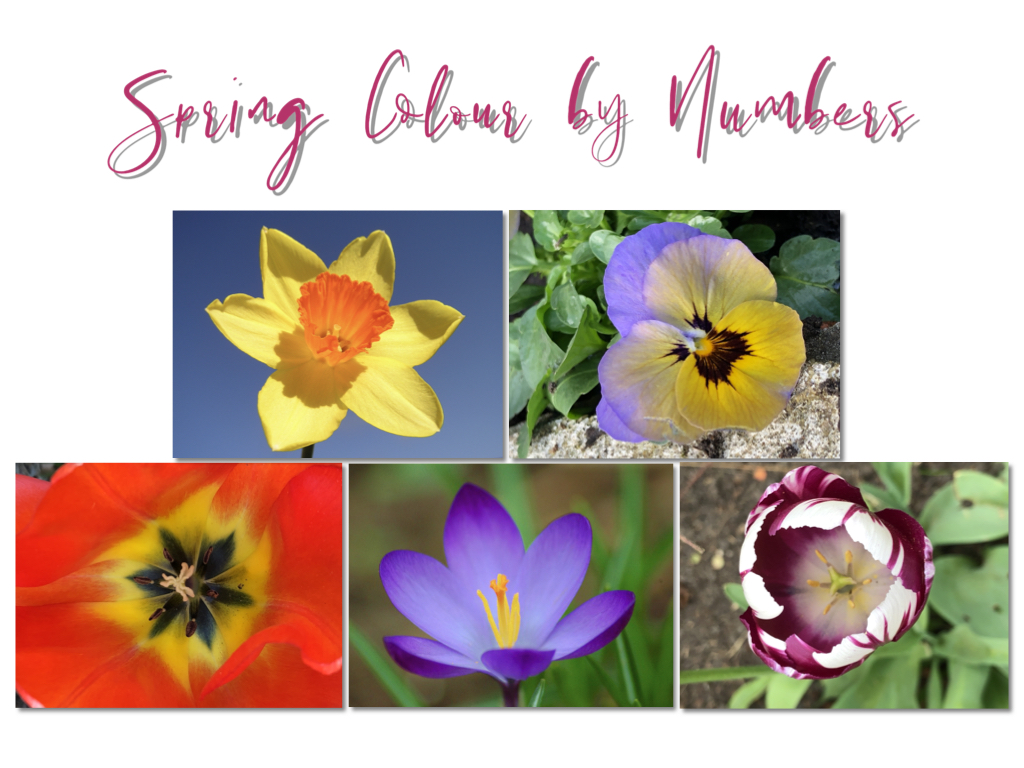 innovate_2_EDU's tweet photo. Now available for download!

My "Spring Colour by Numbers" #keynote ft. my own #photography inspired drawings. Have fun getting #artsy and #Creative 

https://t.co/kgMrzENrU6

#ade2019 #ade2020 #ipad #colours #Spring #Digital #technology #education @AppleEDU @ACSCobhamSchool https://t.co/IoxLoUmkeN