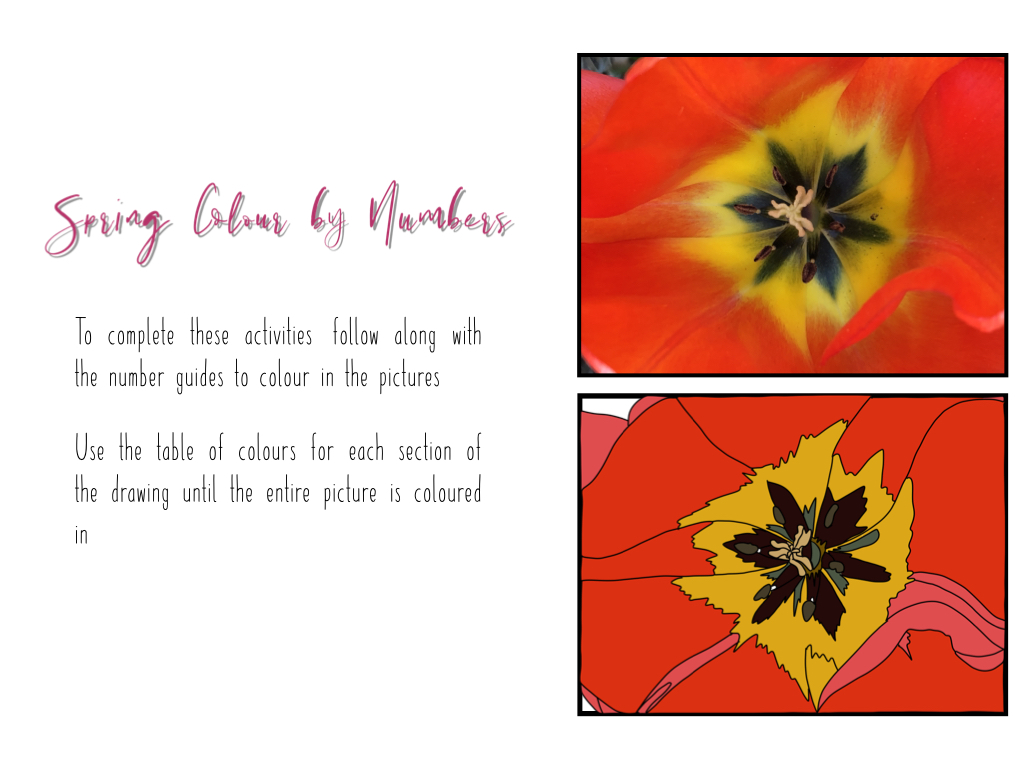 innovate_2_EDU's tweet photo. Now available for download!

My "Spring Colour by Numbers" #keynote ft. my own #photography inspired drawings. Have fun getting #artsy and #Creative 

https://t.co/kgMrzENrU6

#ade2019 #ade2020 #ipad #colours #Spring #Digital #technology #education @AppleEDU @ACSCobhamSchool https://t.co/IoxLoUmkeN