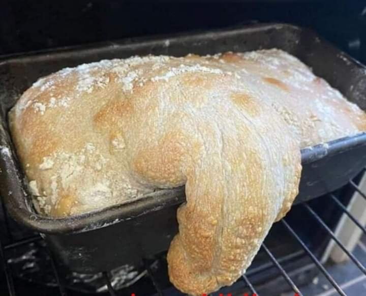Quando usi il lievito padre...
